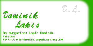 dominik lapis business card